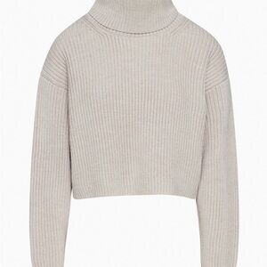 Aritzia Babaton Guell Ribbed Merino Wool Oversized Boxy Turtleneck Sweater